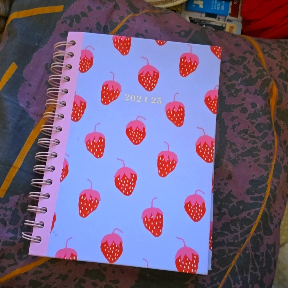 WEEKLY Spiral bound Calendar Planner Diary 2025 Strawberry Strawberries Art 🍓